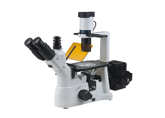 倒置熒光YG-XD30臨床診斷、教學(xué)實(shí)驗(yàn)、病理檢測 細(xì)胞熒光染色觀察