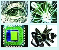 3R-MSUSB601 有線數(shù)碼顯微鏡450X-600X 3R-MSUSB601 有線數(shù)碼顯微鏡450X-600X